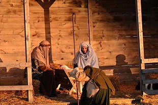 St. Paul’s Lutheran Living Nativity